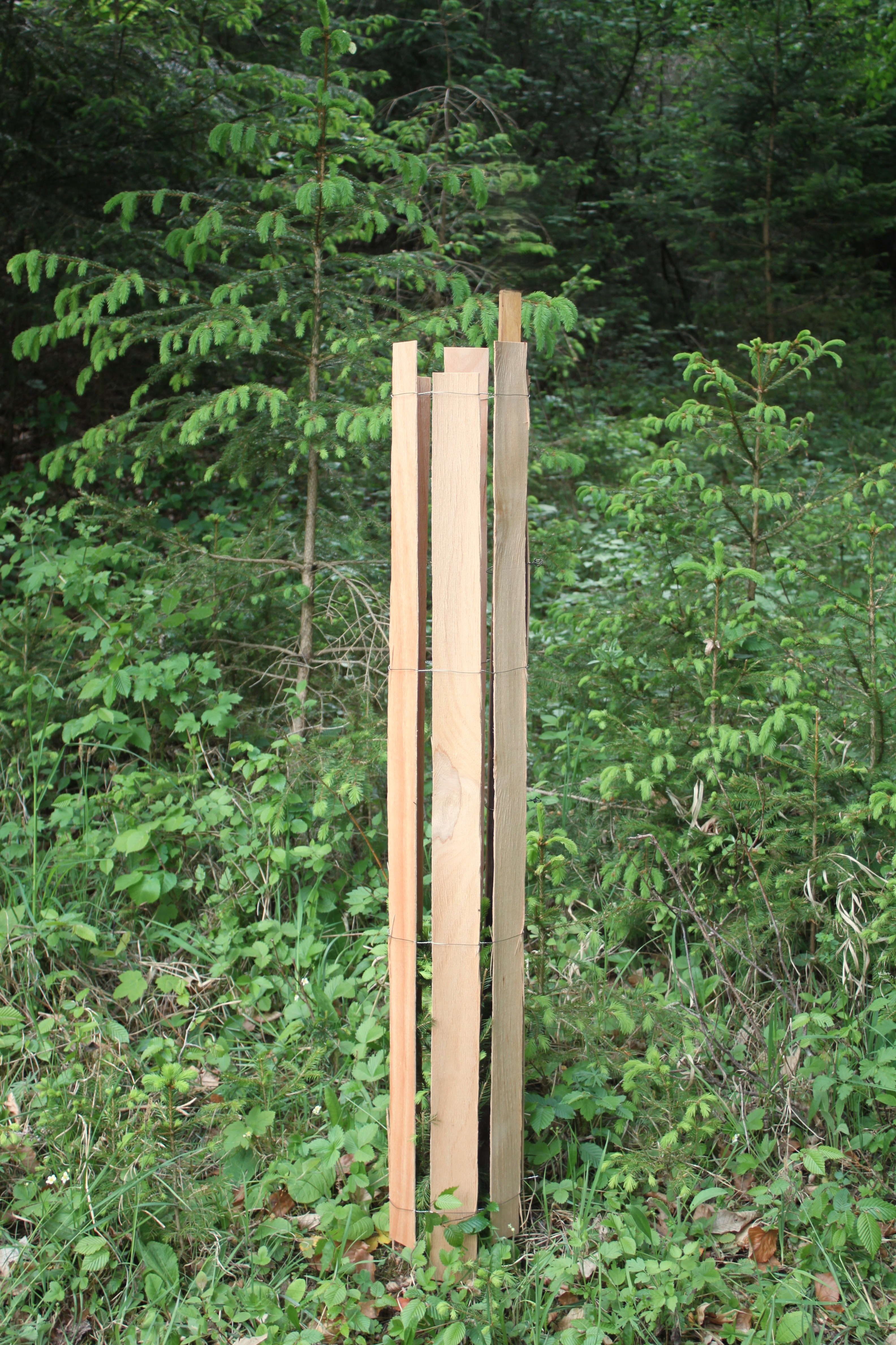7-fach Wiese.JPG